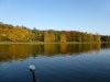 Skull auf dem Weiher.